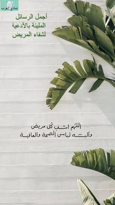 أجمل الرسائل المليئة بالأدعية لشفاء المريض